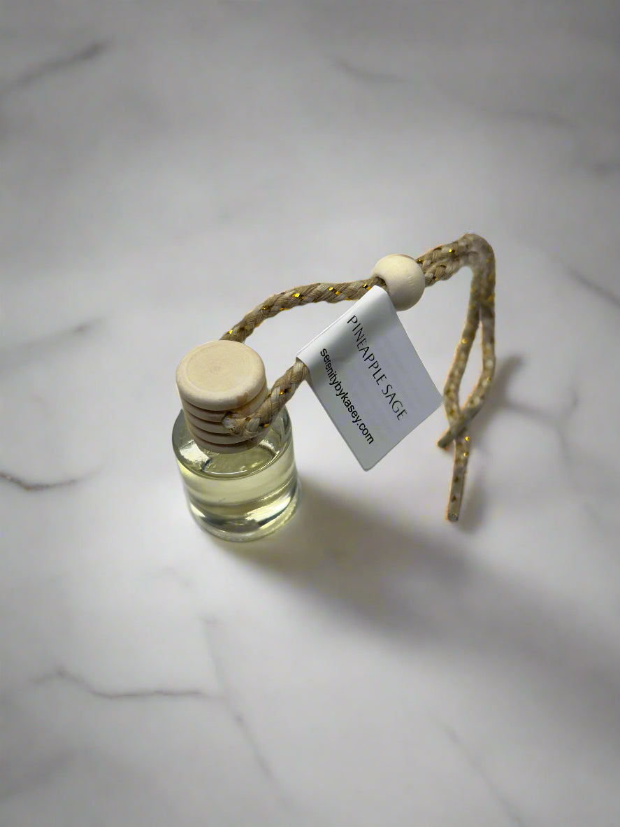 Car Air Freshener Diffuser