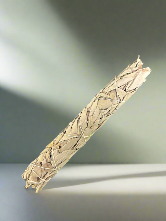 White Sage - Smudge Stick